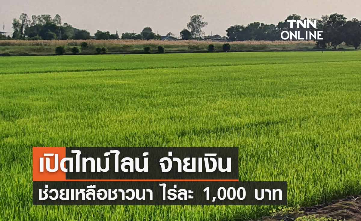 เปิดไทม์ไลน์ จ่ายเงินช่วยเหลือชาวนา ไร่ละ 1,000 บาท ผ่านระบบ ธ.ก.ส.