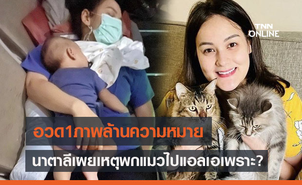 สามีไม่ชอบ แต่ "นาตาลี" ยังพาแมวไปแอลเอเพราะ? พร้อมอวดภาพสุดประทับใจ 