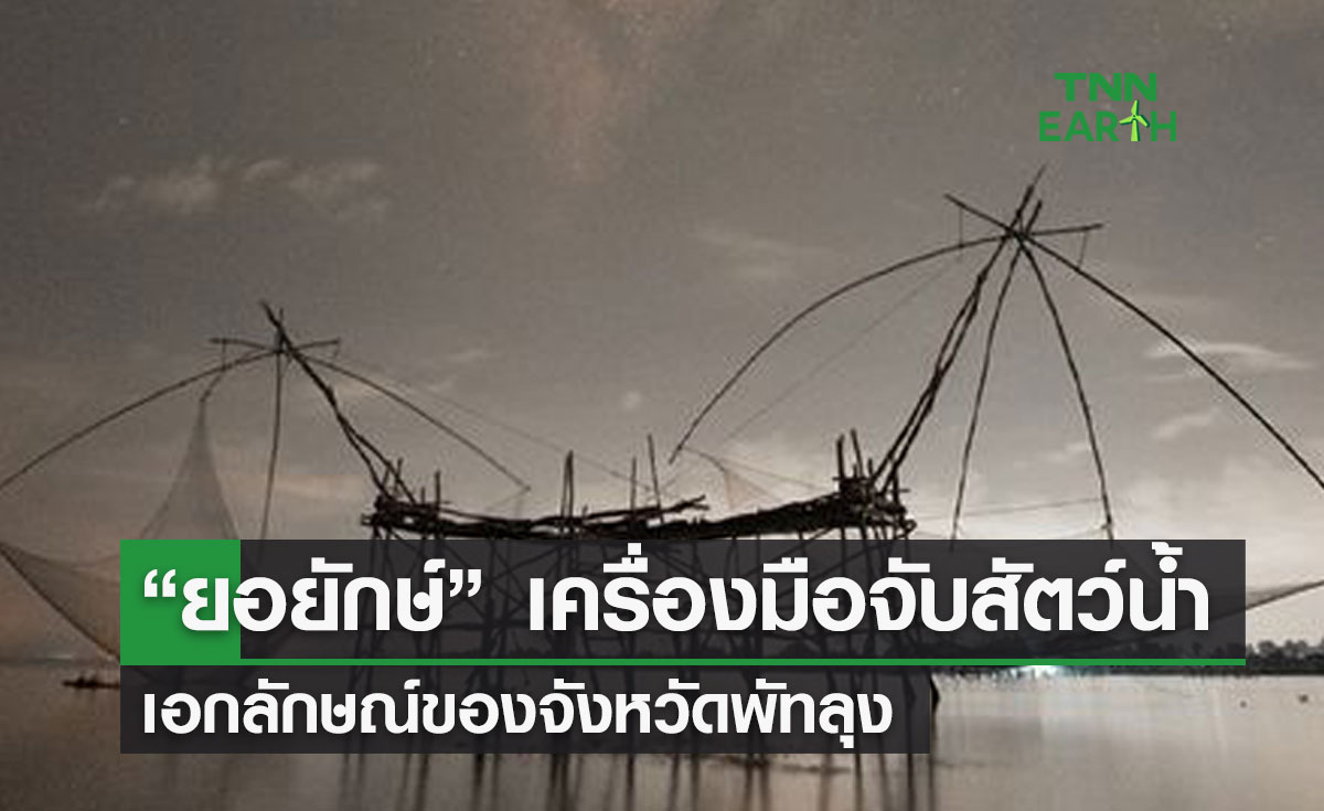 เผยภาพ “ยอยักษ์” เครื่องมือจับสัตว์น้ำ  เอกลักษณ์ของจังหวัดพัทลุง