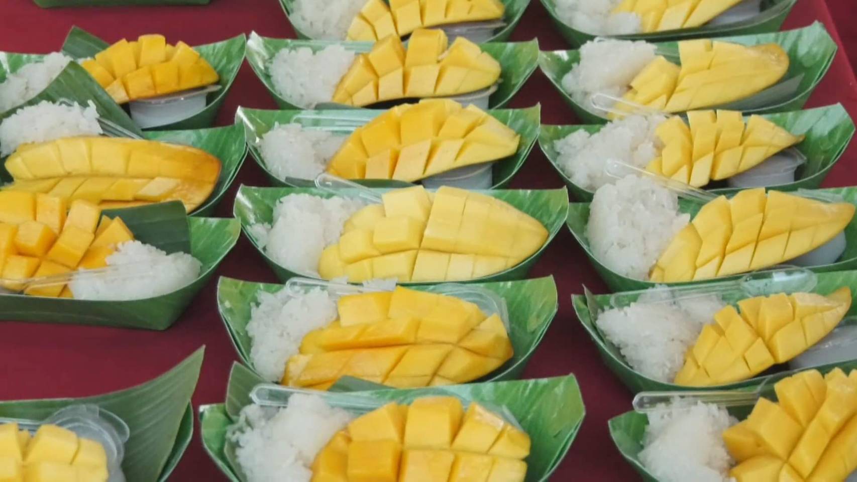 มะม่วงน้ำดอกไม้สีทอง จ.พิจิตร ขายดี! หลังกระแสข้าวเหนียวมะม่วงฟีเวอร์ มะม่วงน้ำดอกไม้สีทอง จ.พิจิตร ขายดี! หลังกระแสข้าวเหนียวมะม่วงฟีเวอร์