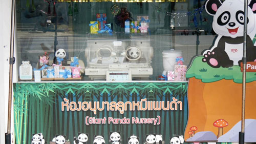 ย้อนรอย “ช่วงช่วง-หลินฮุ่ย” “แพนด้ายักษ์”ทูตสันถวไมตรี “ไทย-จีน” ย้อนรอย “ช่วงช่วง-หลินฮุ่ย” “แพนด้ายักษ์”ทูตสันถวไมตรี “ไทย-จีน”