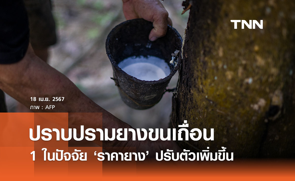 ปราบปรามลักลอบขนยางเถื่อนแนวชายแดน 1 ในปัจจัย ‘ราคายาง’ ในประเทศเพิ่มขึ้น 