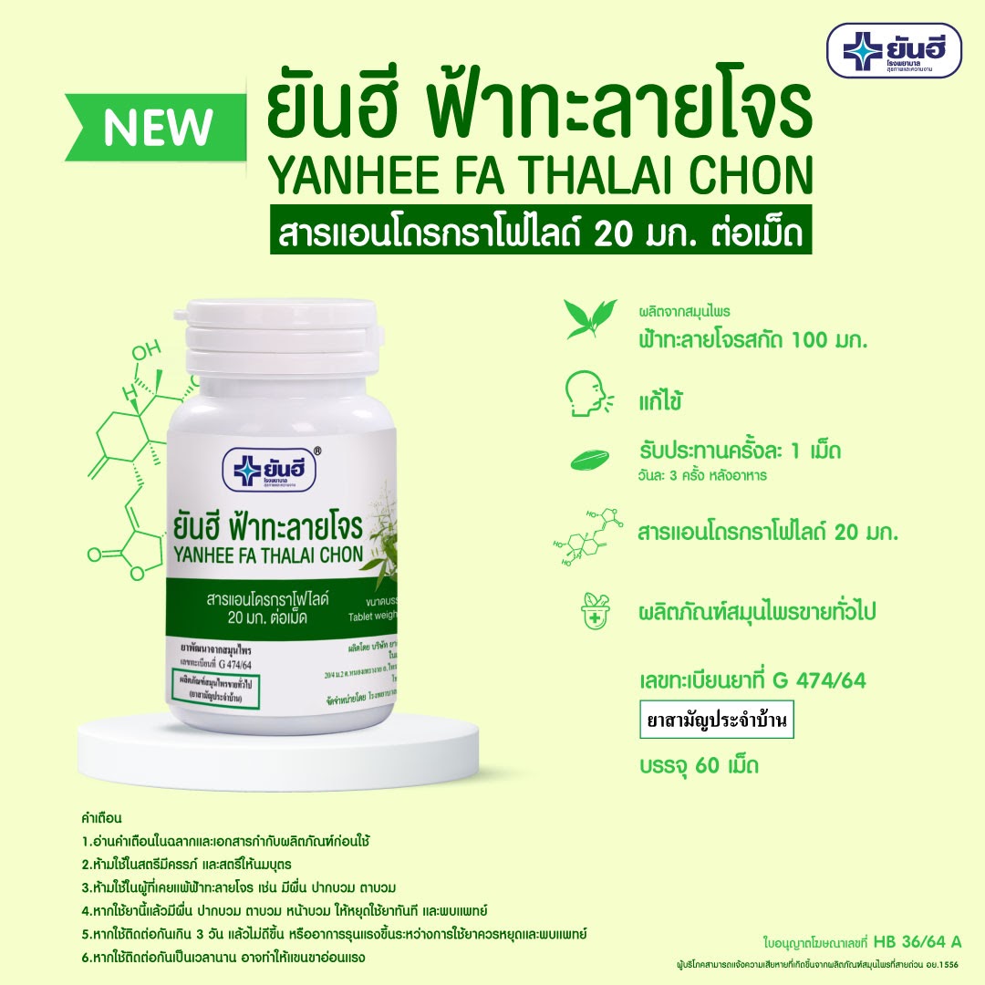ลงทะเบียนที่นี่! รพ.ยันฮี แจก ฟ้าทะลายโจร” ฟรี จำนวนจำกัด 
