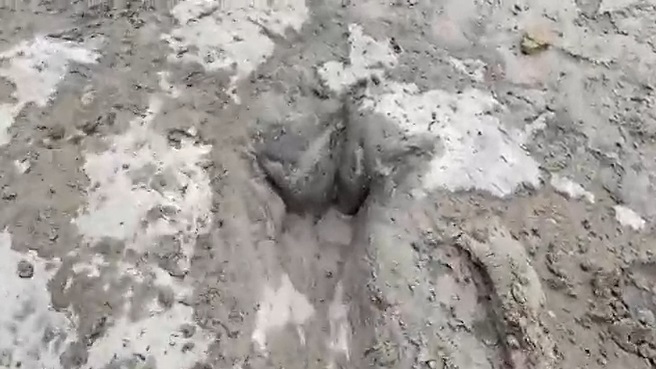 เปิดภาพ รอยเท้าไดโนเสาร์ อายุ 113 ล้านปี โผล่กลางแม่น้ำในเทกซัส!