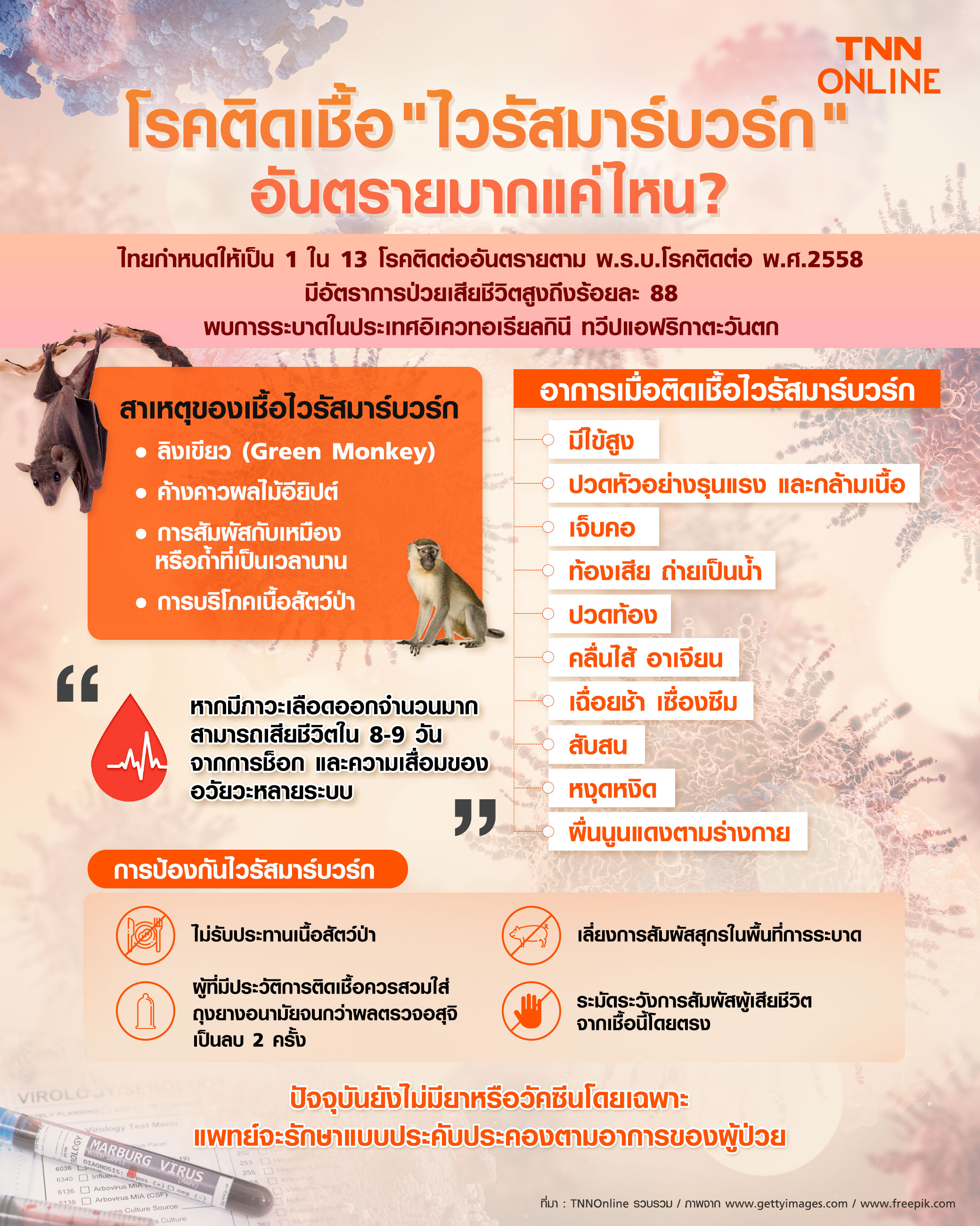  ไวรัสมาร์บวร์ก อันตรายมากแค่ไหน-ทำไมอัตราป่วยเสียชีวิตถึงสูง