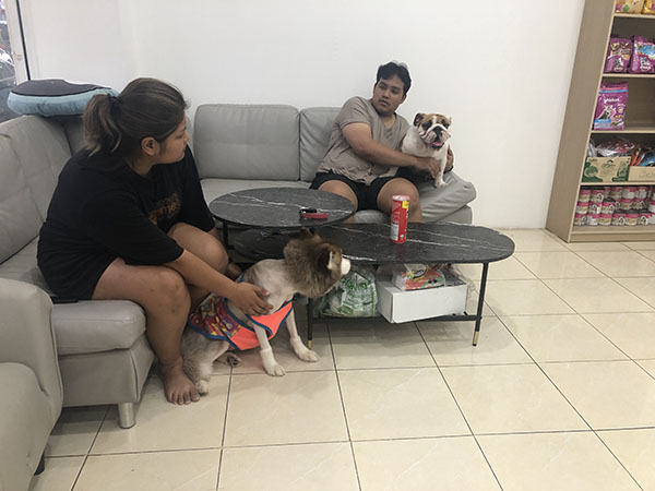 เปิดใจเจ้าของใหม่ ‘หมวยเล็ก’ ไซบีเรียนถูกทำร้าย ตอนนี้เหมือนฟ้าหลังฝน เปิดใจเจ้าของใหม่ ‘หมวยเล็ก’ ไซบีเรียนถูกทำร้าย ตอนนี้เหมือนฟ้าหลังฝน