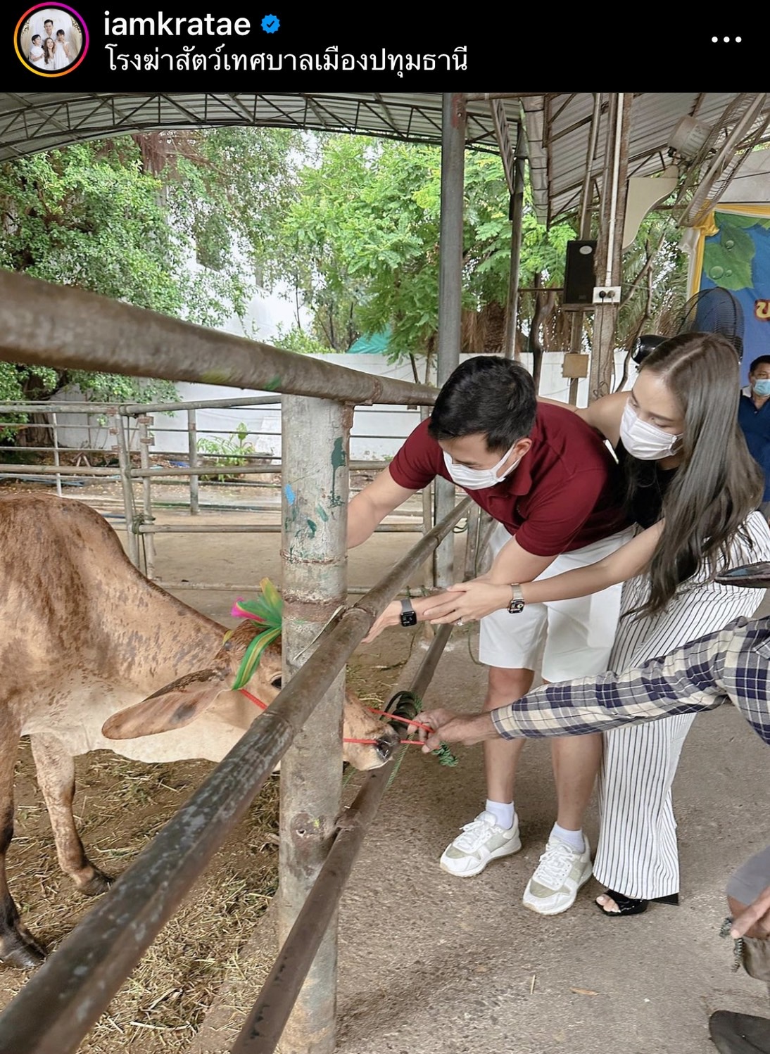 หนิง ปณิตา แจ้งให้ติดตาม tiktok ชื่อใหม่ หลังปลิวไปแล้ว พร้อมทำบุญไถ่ชีวิตโค 1 ตัว 