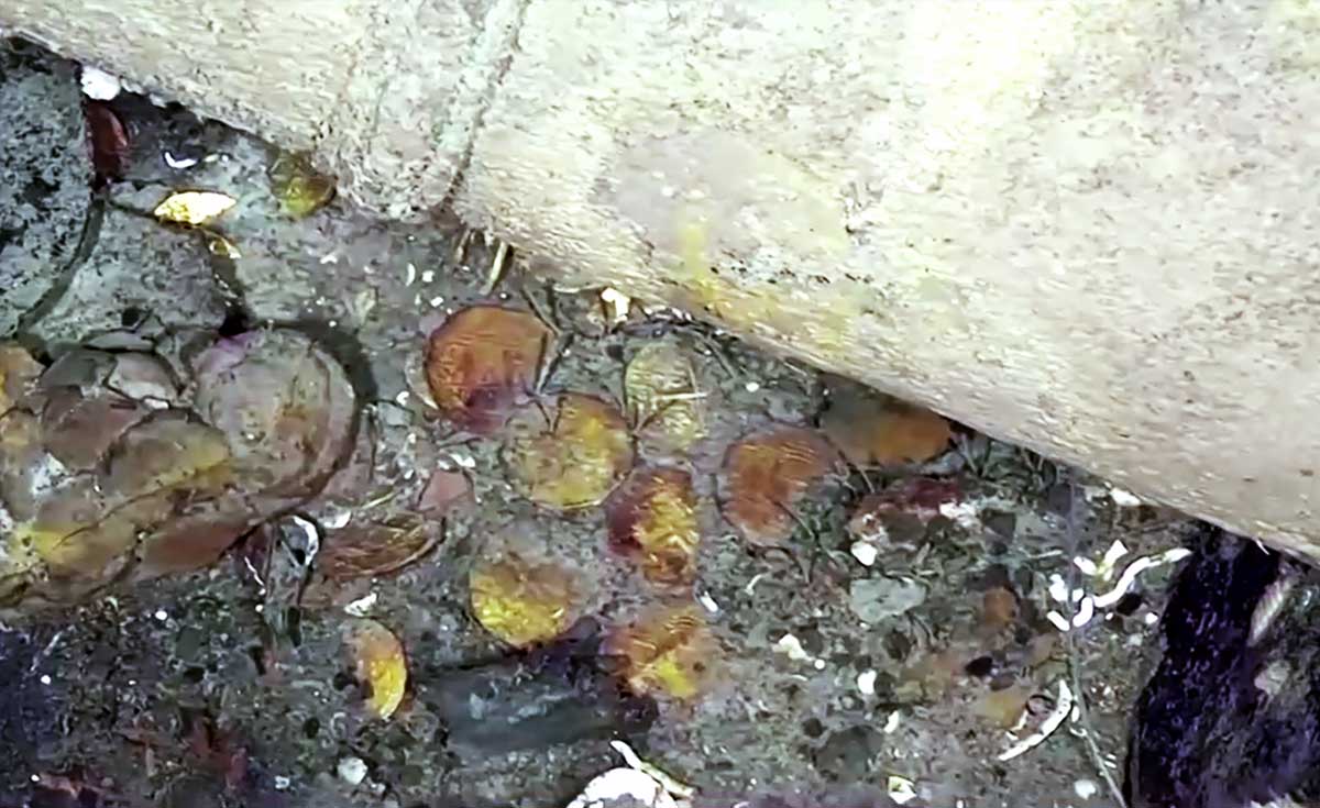 โคลอมเบียพบซากเรือใบอัปปาง อายุกว่า 200 ปี ใต้ทะเลแคริบเบียน พร้อมสมบัติล้ำค่า โคลอมเบียพบซากเรือใบอัปปาง อายุกว่า 200 ปี ใต้ทะเลแคริบเบียน พร้อมสมบัติล้ำค่า