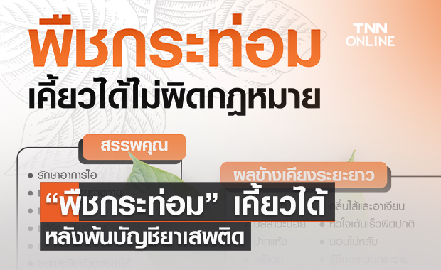 พืชกระท่อมเคี้ยวได้ไม่ผิดกฎหมาย