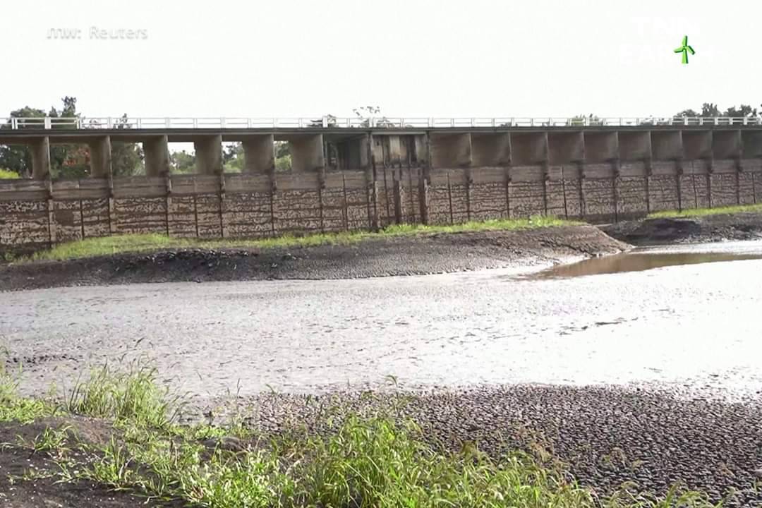 “อุรุกวัย” เผชิญวิกฤตแล้งรุนแรงในรอบ 74 ปี “อุรุกวัย” เผชิญวิกฤตแล้งรุนแรงในรอบ 74 ปี