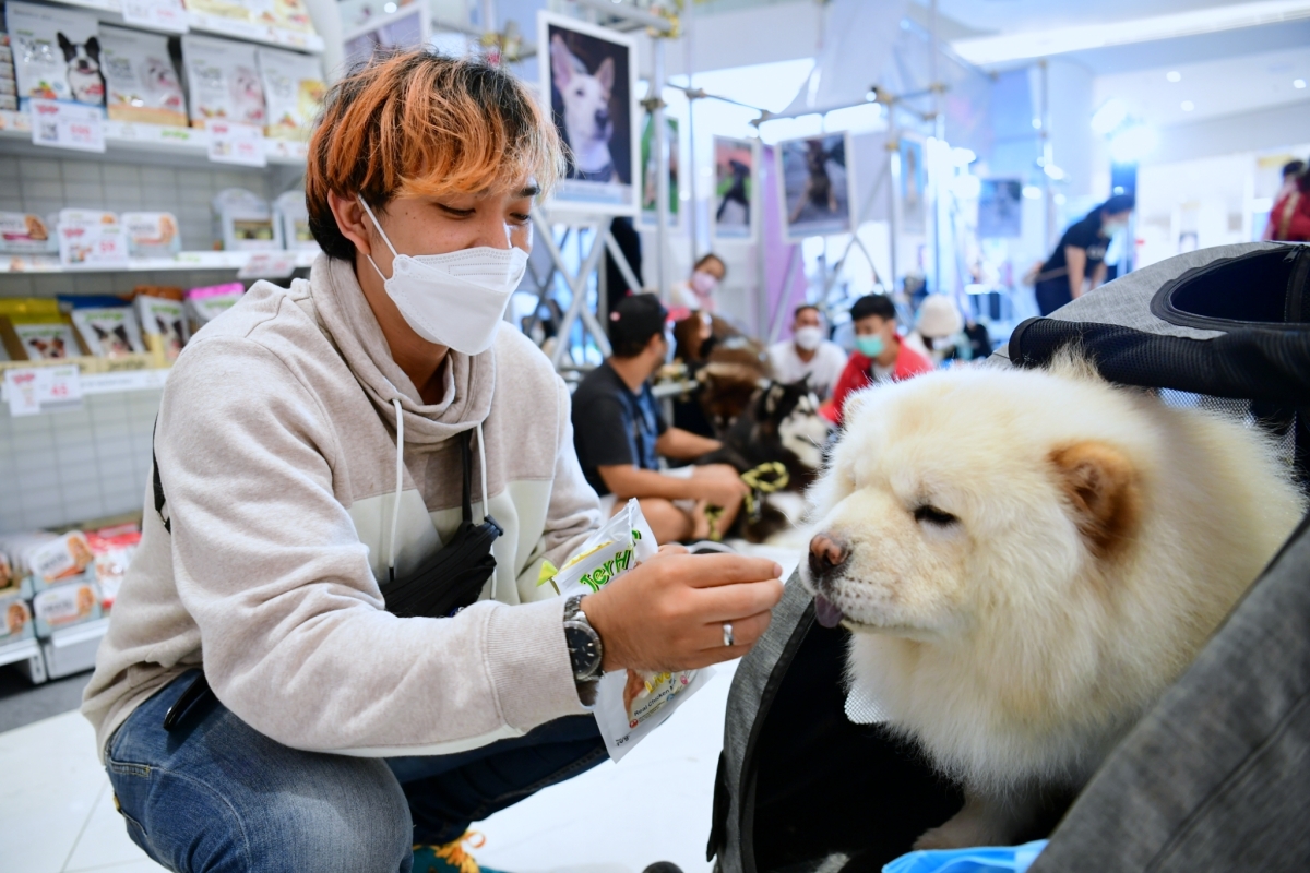 Jerhigh สานต่อ 'หมอหมาใจหล่อ ปี 4' ส่งต่อความรักด้วยอาหารช่วยหมาจร 