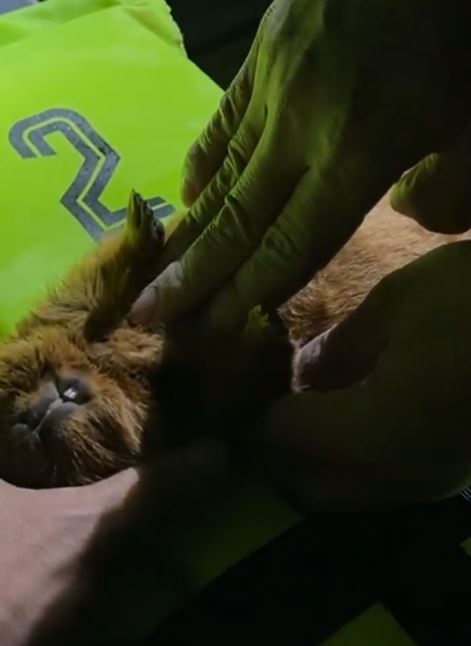 พิษพายุไลออนร็อก!! ฝันดี-ฝันเด่น เจอเรื่องสะเทือนใจ หลังลงพื้นที่ช่วยน้ำท่วมที่จันทบุรี