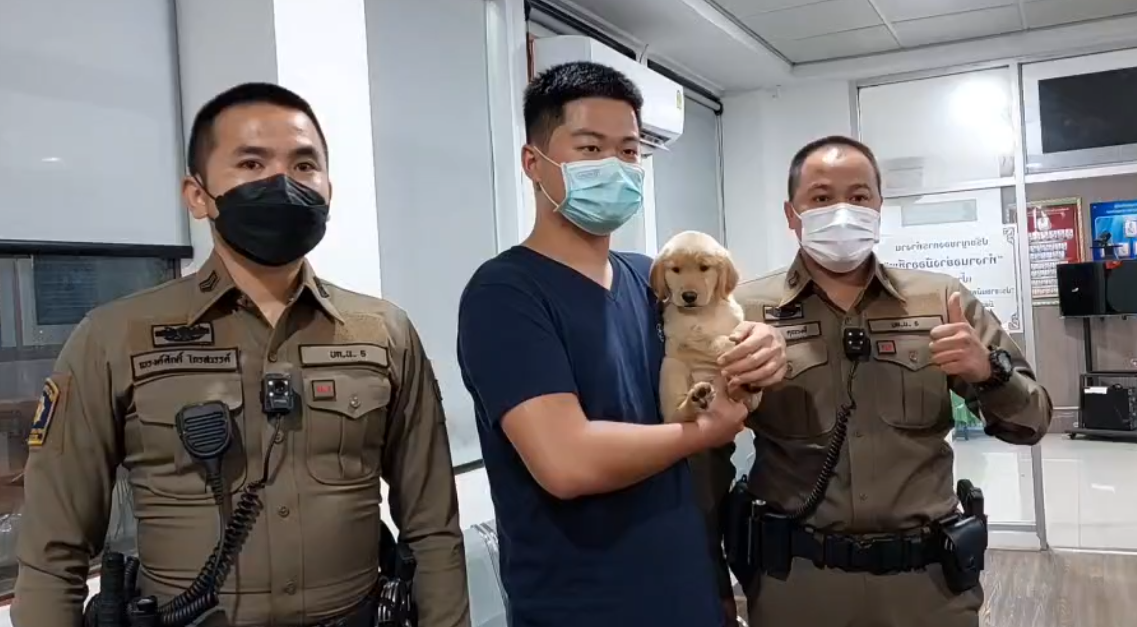 น้องโกลเด้นฯพลัดหลงเจอเจ้าของแล้ว เป็นหนุ่มจีนตั้งชื่อใหม่ “นาตาชา โรมานอฟ” น้องโกลเด้นฯพลัดหลงเจอเจ้าของแล้ว เป็นหนุ่มจีนตั้งชื่อใหม่ “นาตาชา โรมานอฟ”