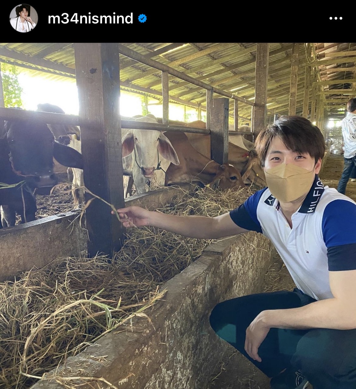 มีน พีรวิชญ์ และ ครอบครัว ทำบุญวันเกิดไถ่ชีวิตกระบือ มีน พีรวิชญ์ และ ครอบครัว ทำบุญวันเกิดไถ่ชีวิตกระบือ