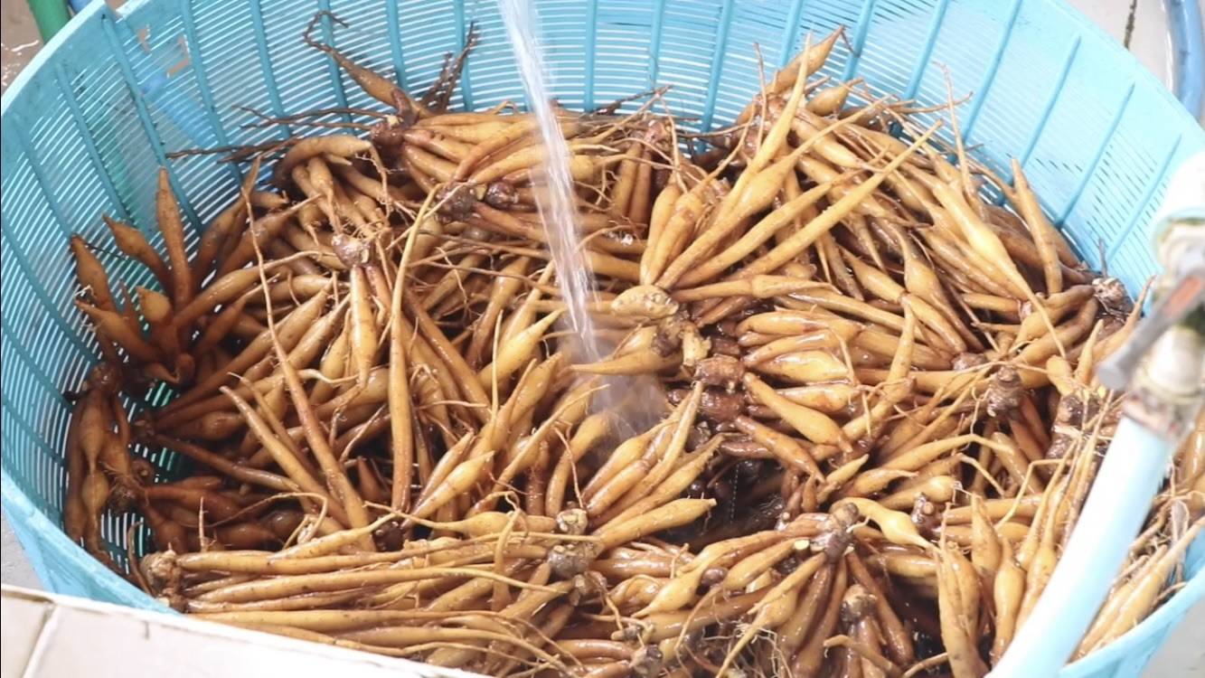 น้ำใจยุคโควิด! เจ้าอาสวัดนนทบุรี ทำน้ำกระชายขาวแจกฟรี น้ำใจยุคโควิด! เจ้าอาสวัดนนทบุรี ทำน้ำกระชายขาวแจกฟรี