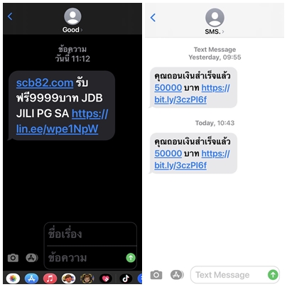 เตือนภัย SMS Phishing ระบาด ลวงให้กรอกข้อมูลส่วนตัว
