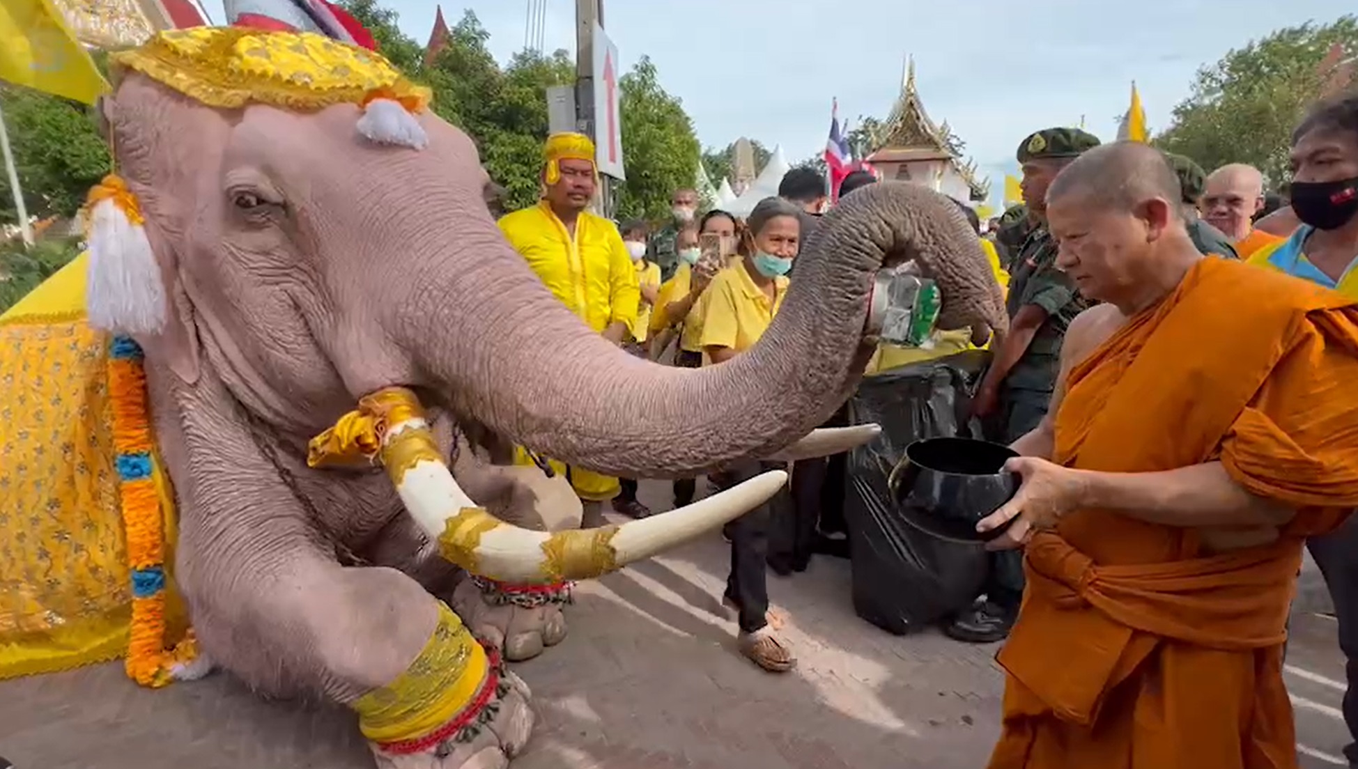 เปิดภาพกรุงเก่าจัดช้าง 10 เชือก เดินขบวนเฉลิมพระเกียรติ เปิดภาพกรุงเก่าจัดช้าง 10 เชือก เดินขบวนเฉลิมพระเกียรติ