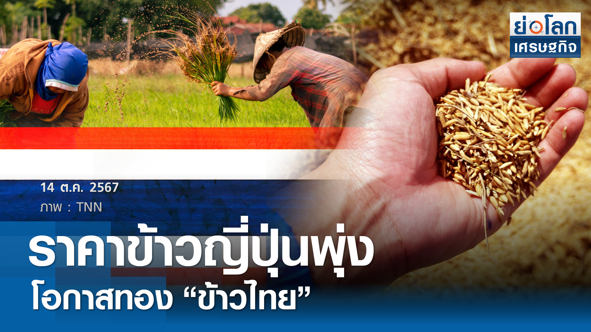 ราคาข้าวญี่ปุ่นพุ่งโอกาสทอง "ข้าวไทย"