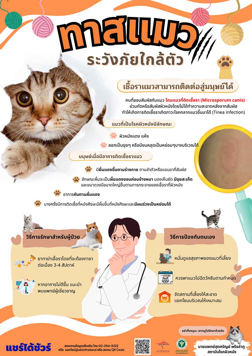 ทาสแมวต้องระวัง เชื้อราแมว ภัยใกล้ตัวจากสัตว์เลี้ยงสู่คน หากติดเชื้อมีอาการอย่างไร 