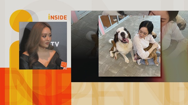 “แก้มบุ๋ม” ฟ้องคู่กรณีด่าทารุณกรรมสัตว์เรียกเงิน 1 ล้านบาท  (มีคลิป)