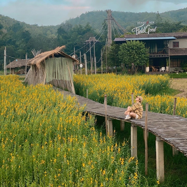 นิว นภัสสร ประกาศปิด!!  ร้านอาหารที่เชียงใหม่