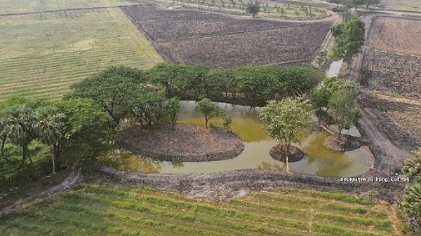 ตั๊ก บงกช เริ่มจริงจังกับการเกษตรแบบออร์แกนิค (มีคลิป)