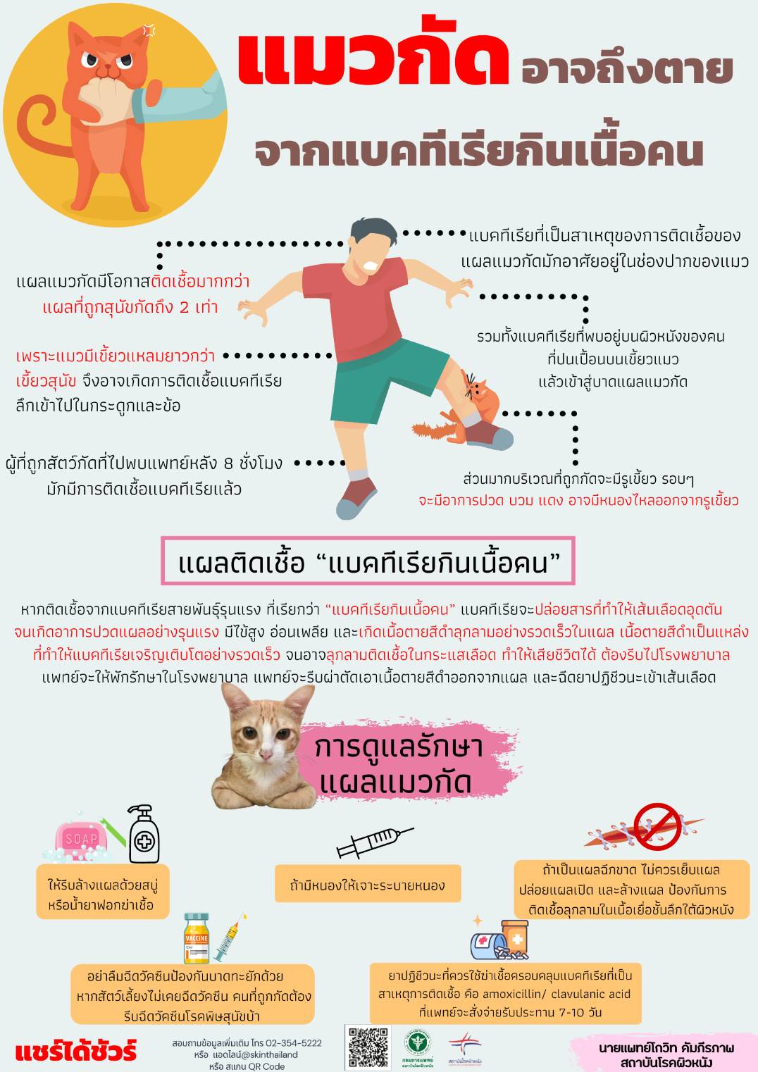 แพทย์ผิวหนังเตือน! แผลแมวกัดอาจถึงตาย จากแบคทีเรียกินเนื้อคน แพทย์ผิวหนังเตือน! แผลแมวกัดอาจถึงตาย จากแบคทีเรียกินเนื้อคน