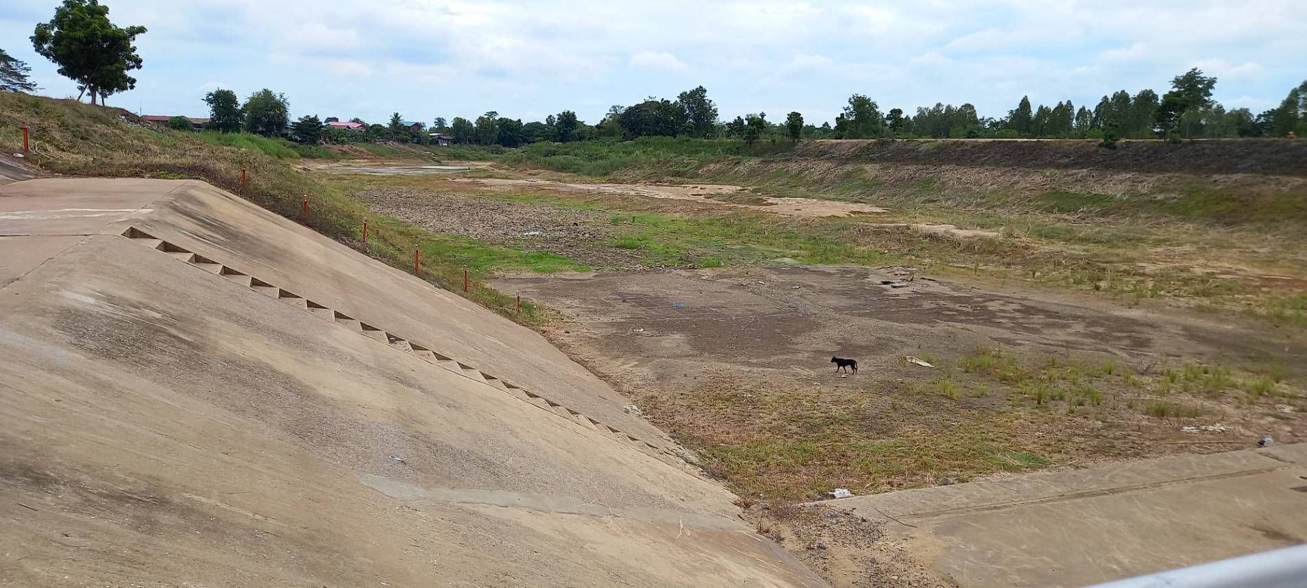 เร่งแก้วิกฤตแล้ง! น้ำยมแห้งขอด ไร่นาเสียหายแสนไร่ เร่งแก้วิกฤตแล้ง! น้ำยมแห้งขอด ไร่นาเสียหายแสนไร่