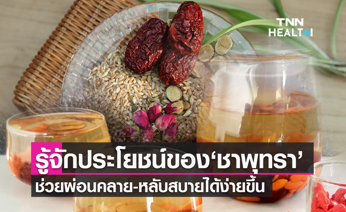 “ชาพุทรา” สรรพคุณ ประโยชน์ ช่วยแก้โรคนอนไม่หลับ
