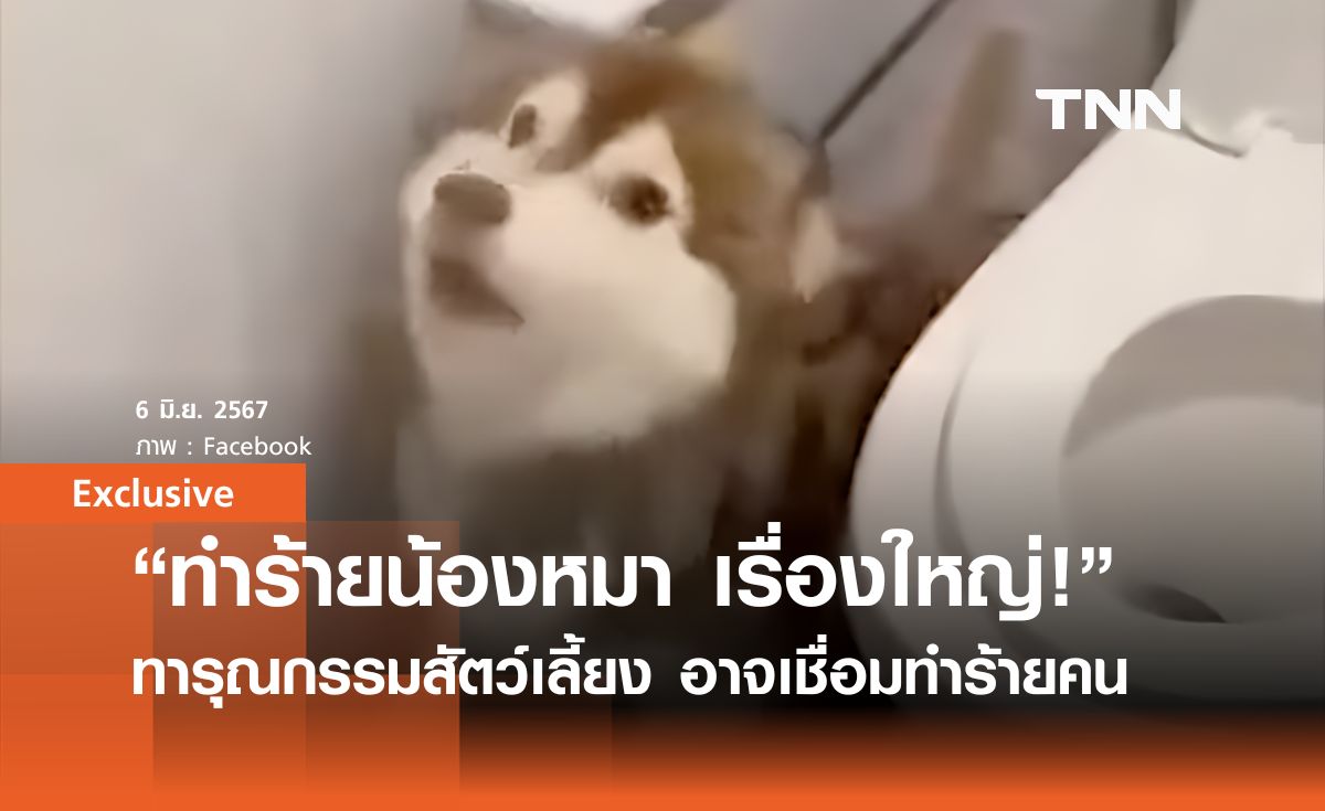 หมวยเล็ก: “ทำร้ายสุนัข อย่ามองข้าม” เมื่อทารุณกรรมสัตว์เลี้ยง อาจเชื่อมโยงทำร้ายมนุษย์