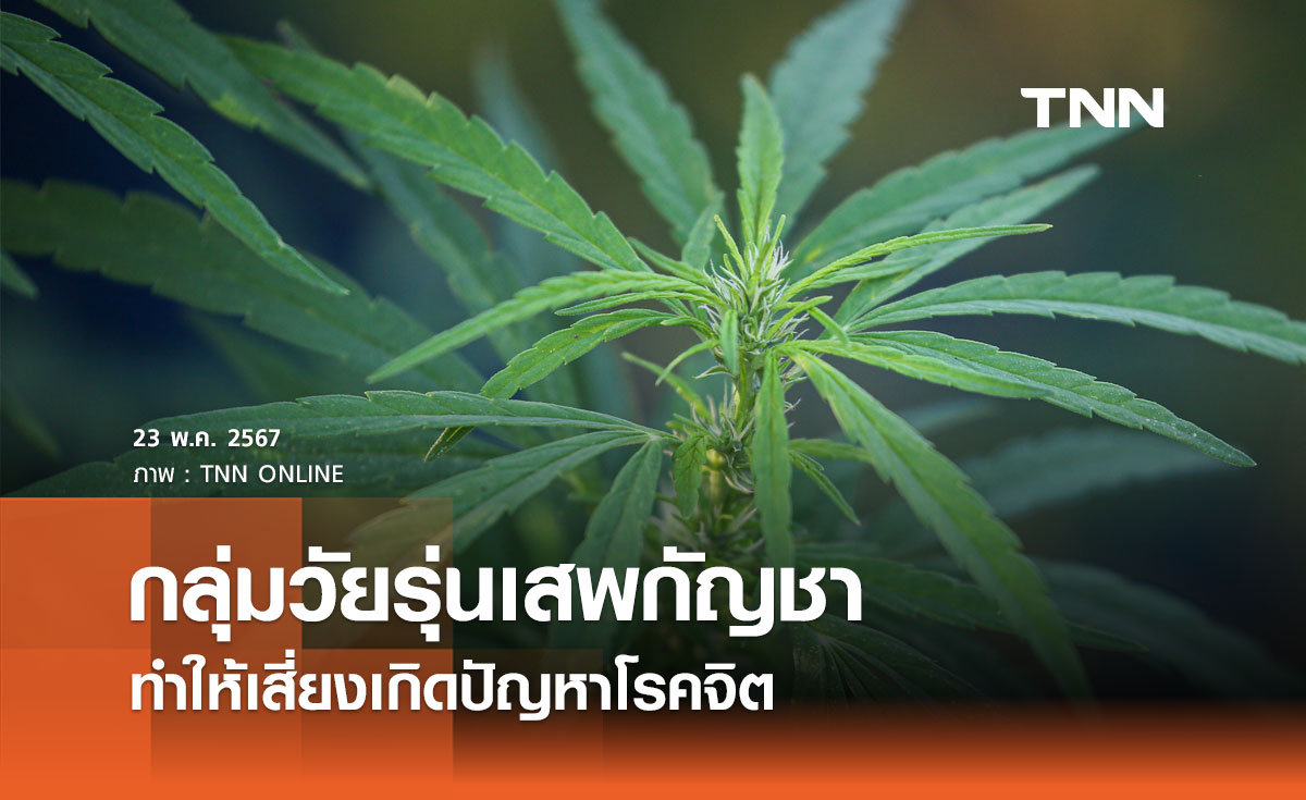 กลุ่มวัยรุ่นเสพ "กัญชา" เสี่ยงเกิดปัญหาโรคจิตมากกว่ากลุ่มไม่เสพถึง 11.2 เท่า