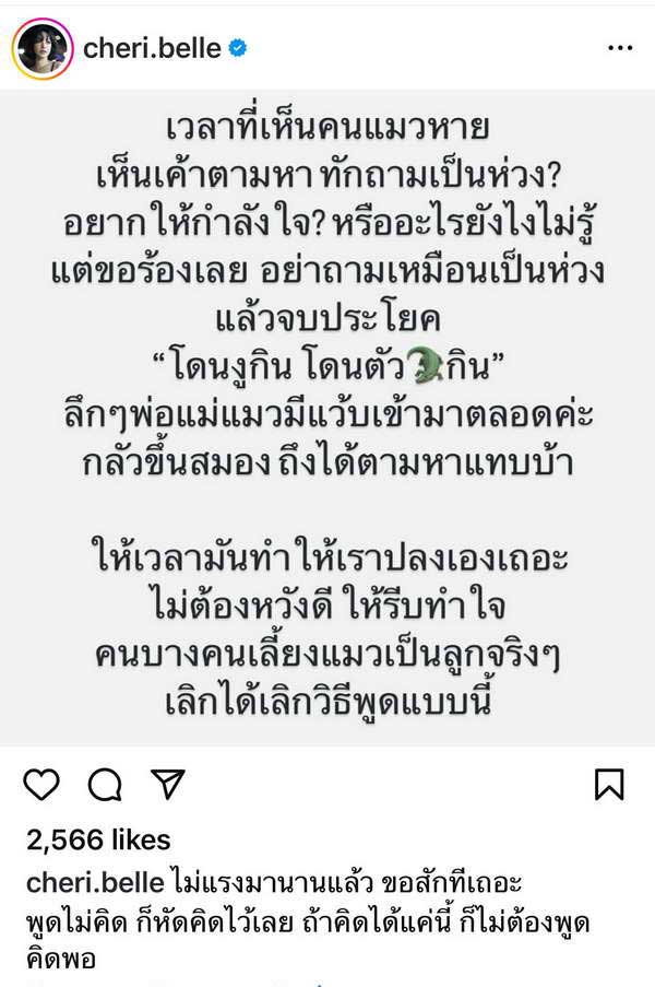 เฌอเบลล์ แมวหาย สายพันธุ์เบงกอล พบมีรางวัลให้ วอนอย่าบอกว่าน้องถูกกินไปแล้ว เฌอเบลล์ แมวหาย สายพันธุ์เบงกอล พบมีรางวัลให้ วอนอย่าบอกว่าน้องถูกกินไปแล้ว
