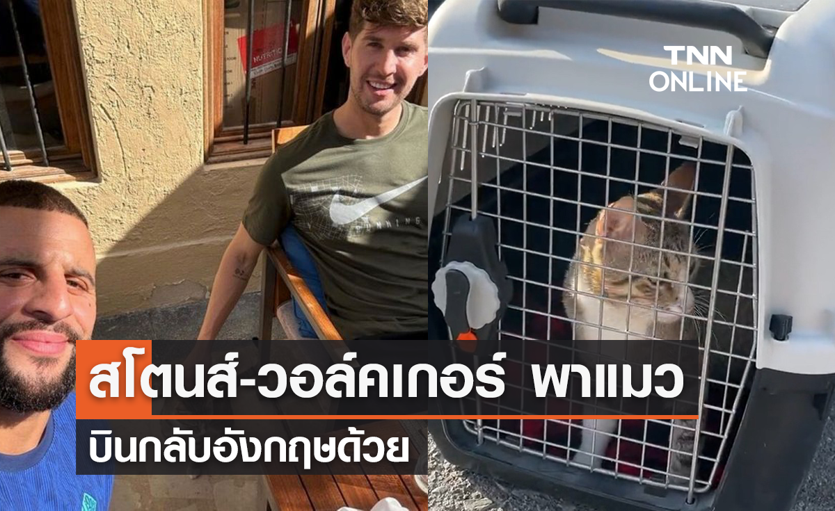 สโตนส์-วอล์คเกอร์ พาแมวเดฟ บินกลับอังกฤษด้วย