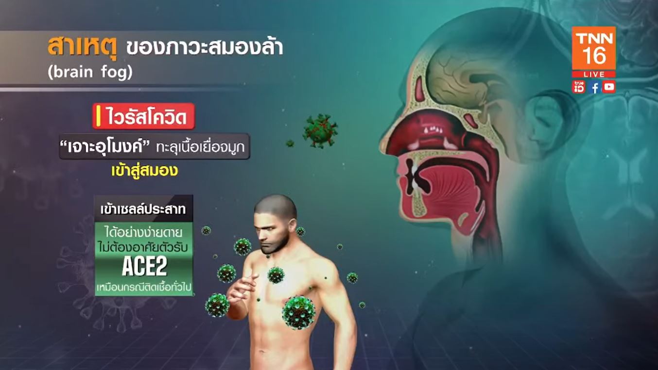 ผลศึกษาชี้ ผมร่วง-ความผิดปกติทางเพศ ผลกระทบจากอาการลองโควิด