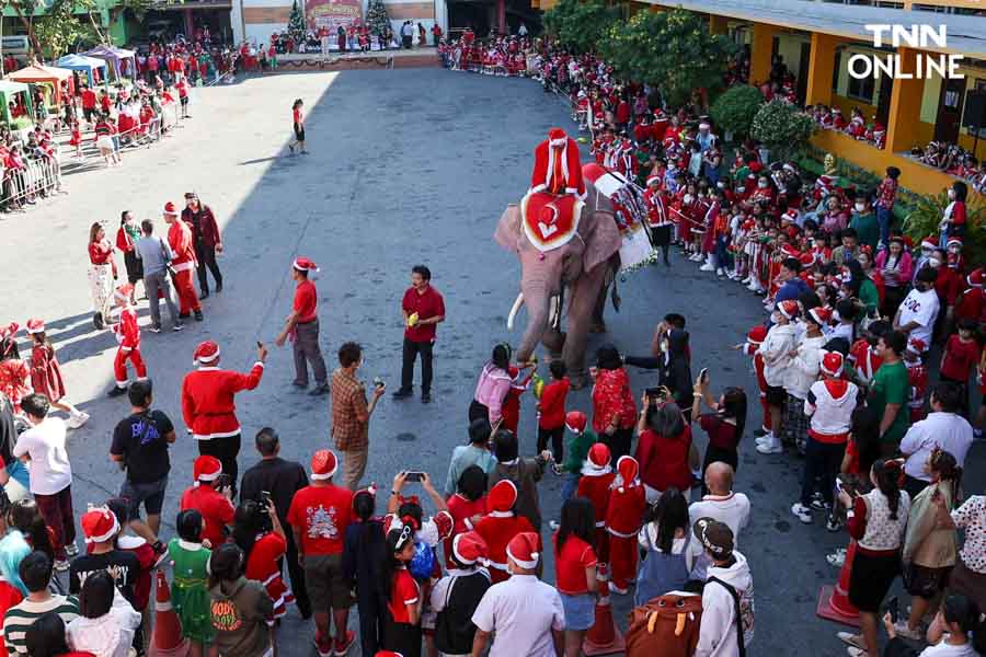 ช้างแปลงโฉมซานตาคลอส มอบความสุขในเทศกาลคริสต์มาส