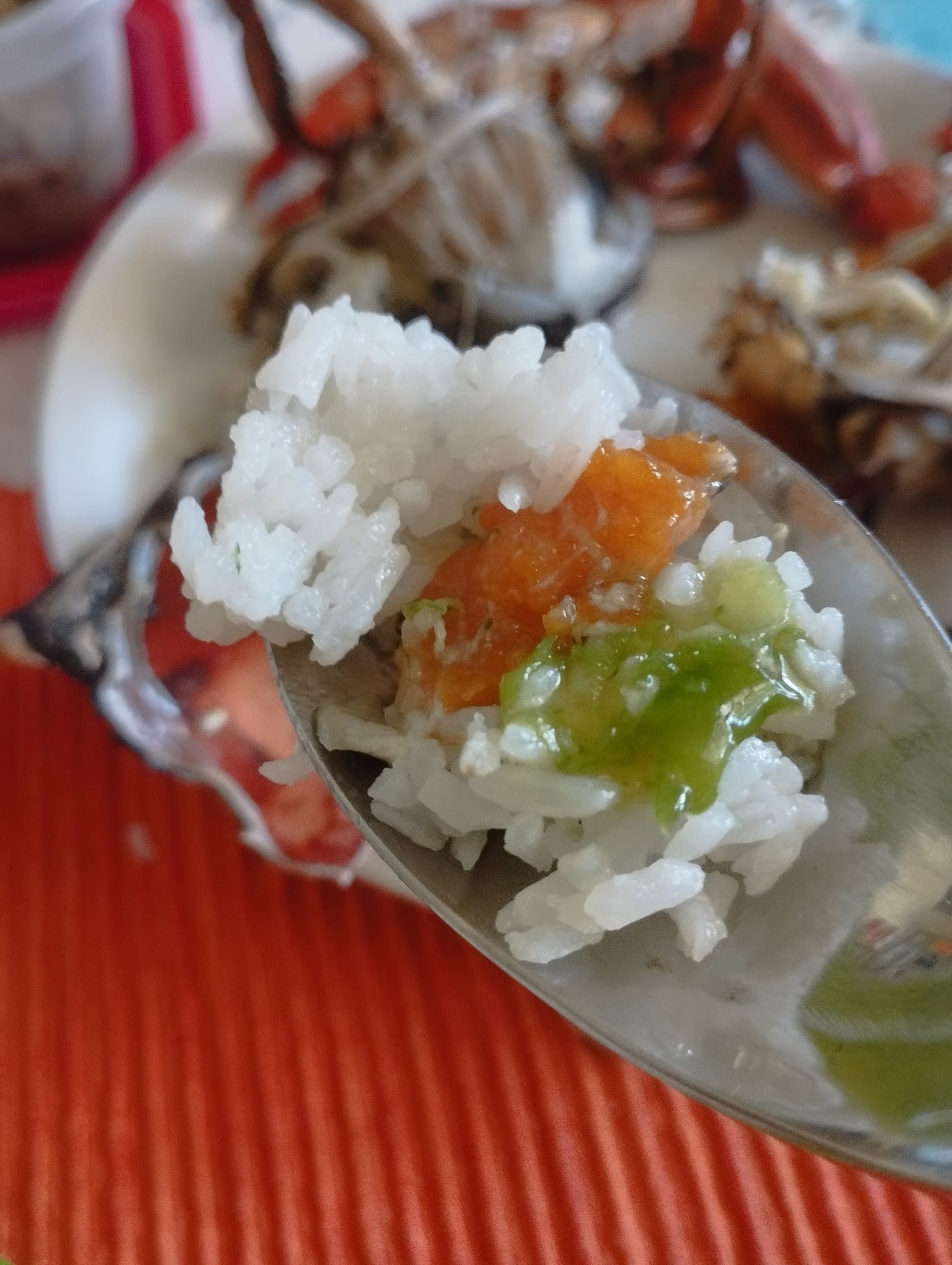 ปูม้าบุกอิตาลี! ไม่รอดคนไทยลองแล้ว เนื้อแน่น หวาน ไข่เต็มท้อง