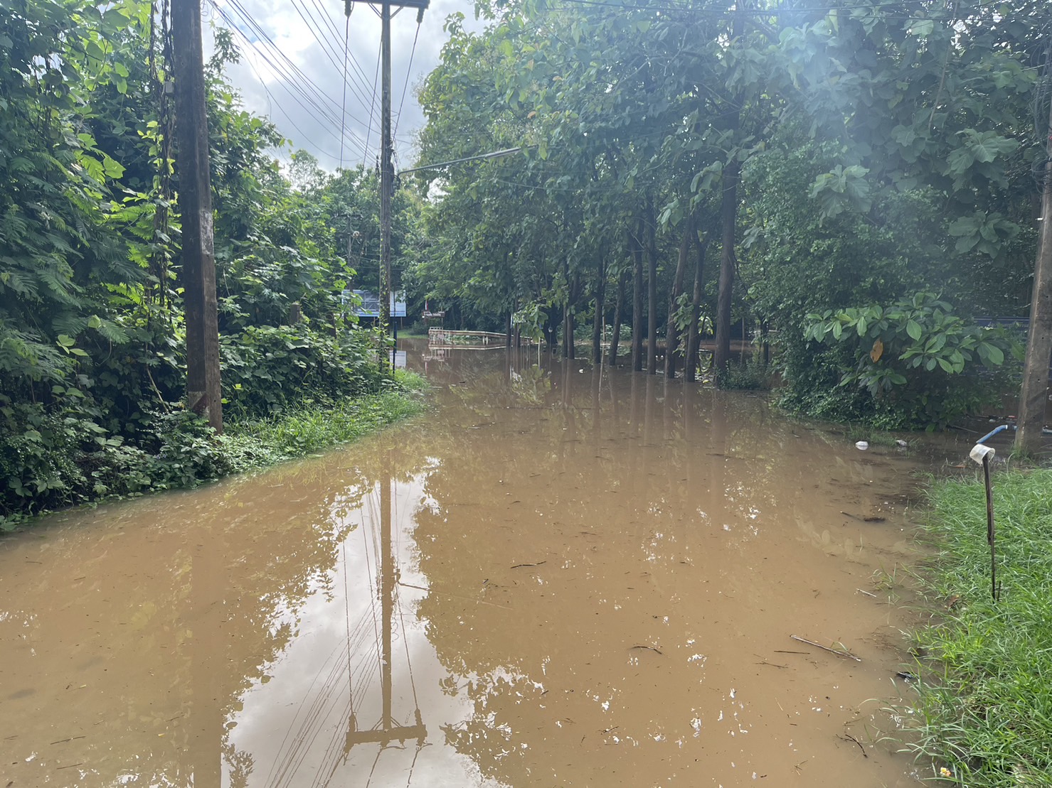 จ.เลย แจ้งเตือนด่วน! เฝ้าระวังน้ำล้นตลิ่ง-น้ำท่วมฉับพลัน จ.เลย แจ้งเตือนด่วน! เฝ้าระวังน้ำล้นตลิ่ง-น้ำท่วมฉับพลัน