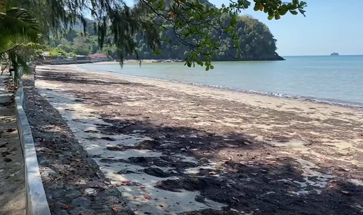 โผล่อีก! สาหร่ายทะเล ถูกคลื่นซัดหาดอ่าวนาง โผล่อีก! สาหร่ายทะเล ถูกคลื่นซัดหาดอ่าวนาง