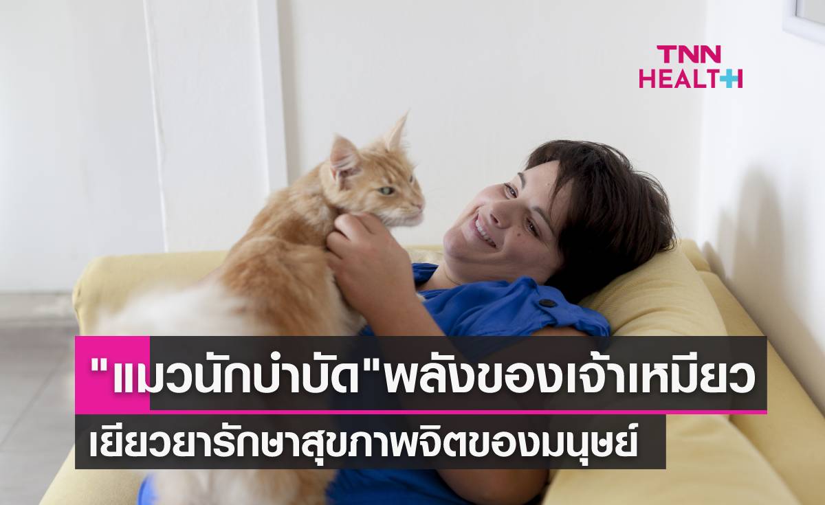 "แมวบำบัด" พลังแห่งการรักษาเยียวยาจิตใจมนุษย์