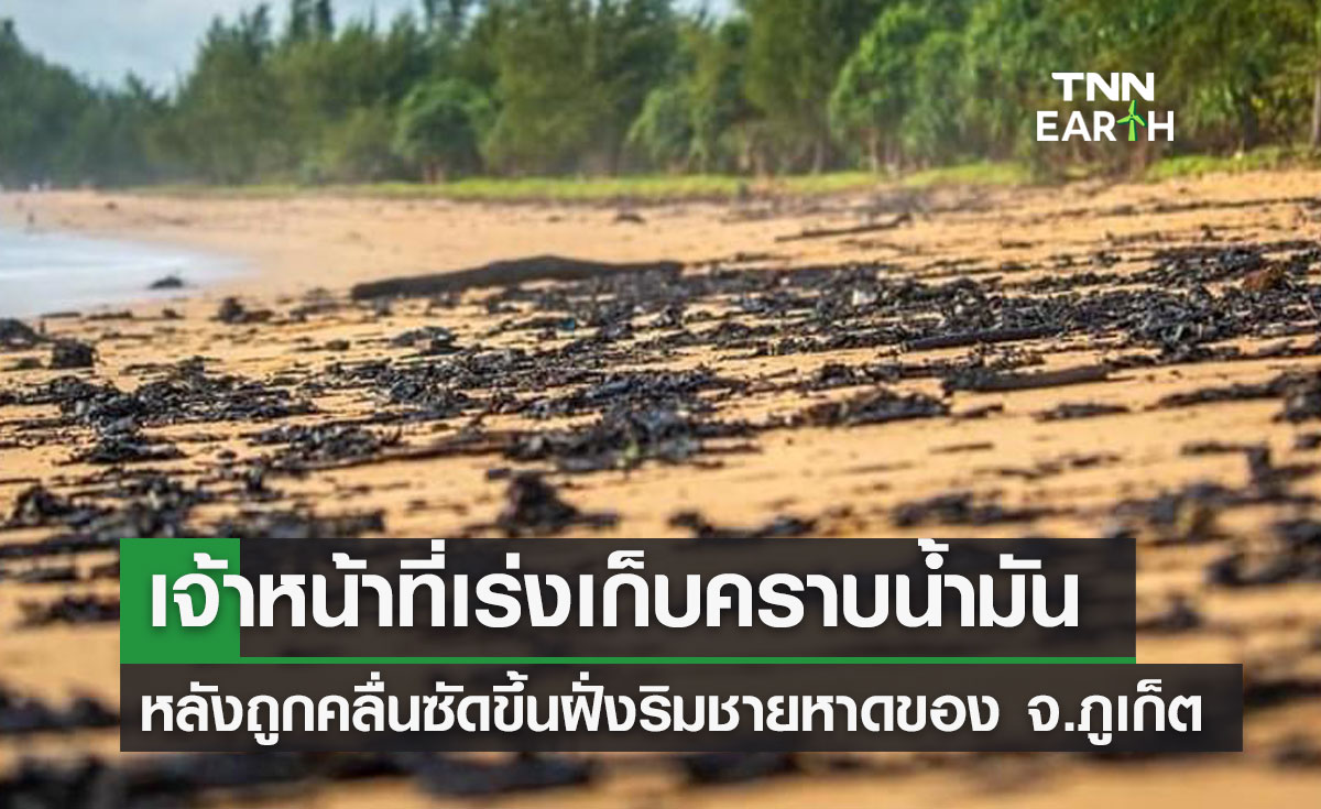 เจ้าหน้าที่เร่งเก็บคราบน้ำมัน หลังถูกคลื่นซัดขึ้นฝั่งริมชายหาด ของ จ.ภูเก็ต