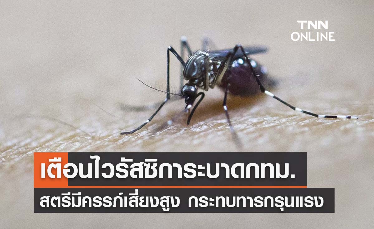 หมอเตือนไวรัสซิการะบาดกทม. - สตรีมีครรภ์เสี่ยงสูงเกิดภาวะแทรกซ้อนรุนแรง