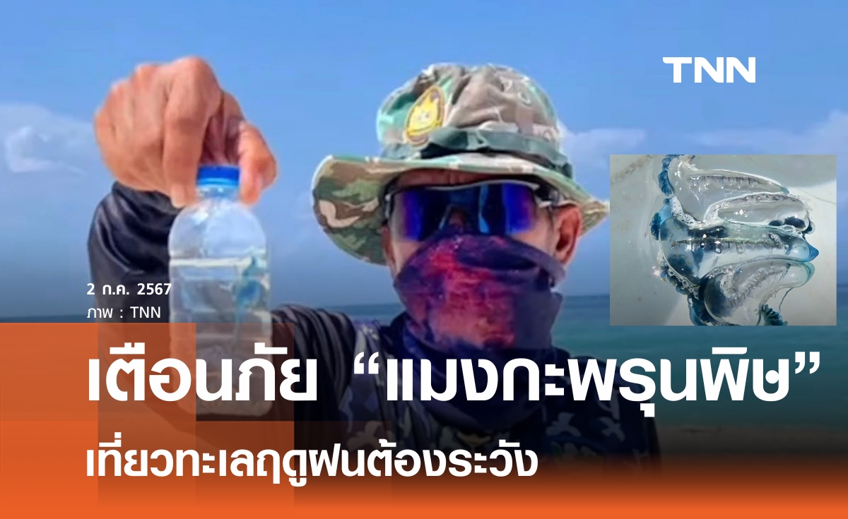 เที่ยวทะเลฤดูฝน เตือนระวังภัย "แมงกะพรุนพิษ" 