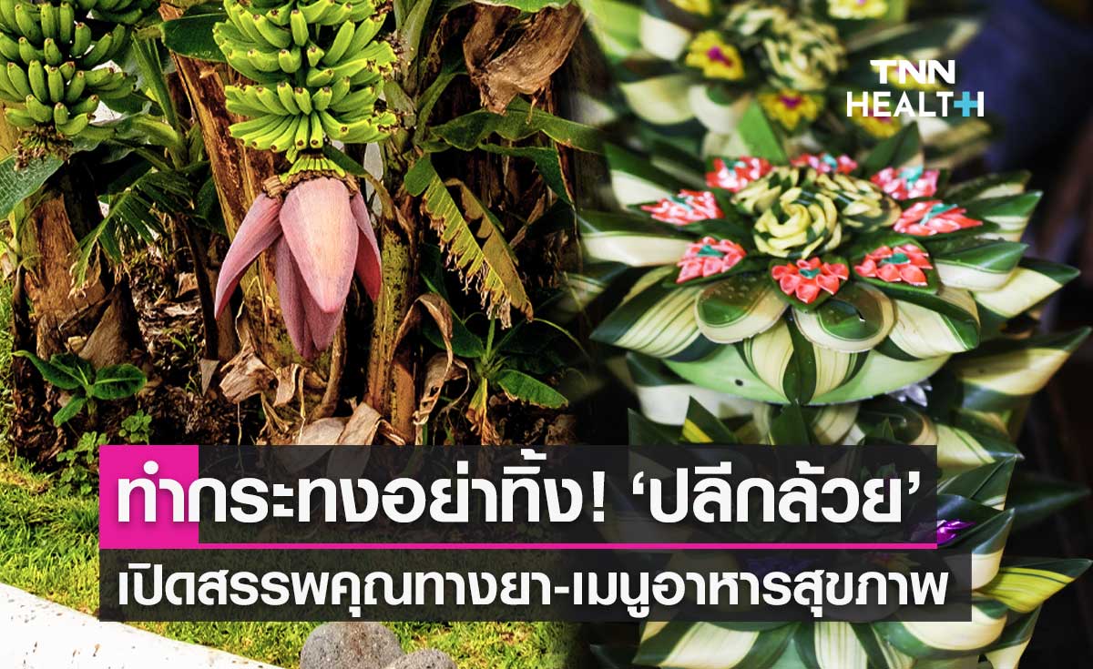 ทำกระทงอย่าทิ้ง! "ปลีกล้วย" เปิดสรรพคุณทางยา-เมนูอาหารเสริมสุขภาพ