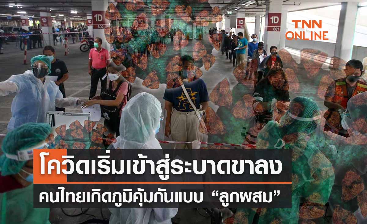 โควิดสู่ขาลงเร็วกว่าที่คิด ไทยติดเชื้อกว่า 70% เกิดภูมิแบบลูกผสม