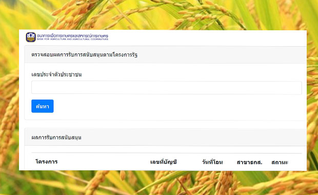 เช็กเลย ! ตรวจสอบสิทธิ์ประกันรายได้ข้าว ธ.ก.ส.เริ่มโอนวันนี้ให้ชาวนา เช็กเลย ! ตรวจสอบสิทธิ์ประกันรายได้ข้าว ธ.ก.ส.เริ่มโอนวันนี้ให้ชาวนา