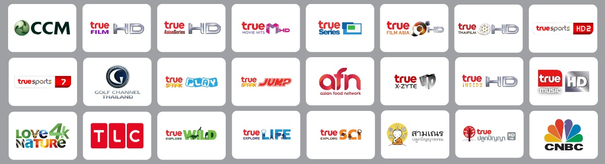 แพ็กเกจ TrueVisions NOW สมัครง่าย เลือกดูได้ทันที