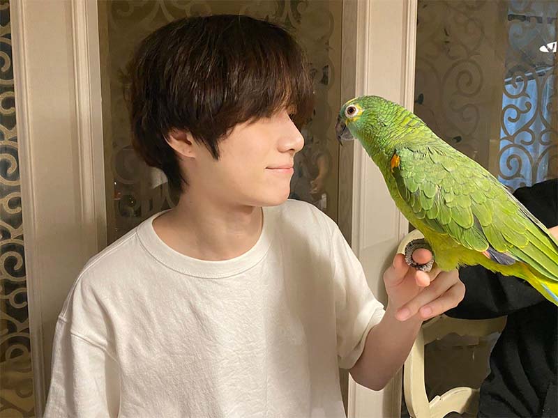 ศิลปินเกาหลีกับสัตว์เลี้ยงสุดแหวกแนวแต่น่ารักสุด ๆ
