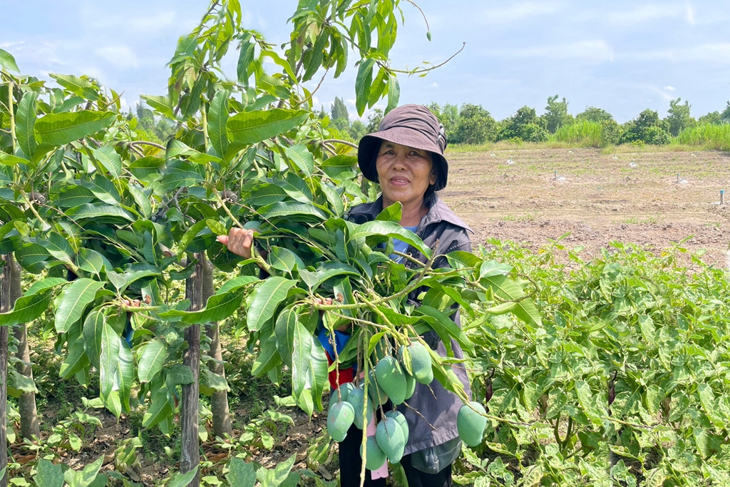 ปันน้ำปุ๋ยสู่เกษตรกร CPF ช่วยเกษตรกรก้าวผ่านวิกฤตภัยแล้ง 