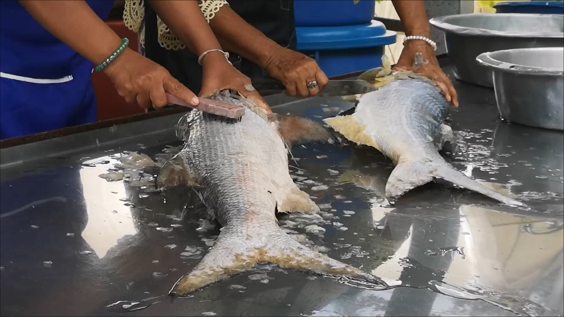 Soft Power กระแส ปลากุเลา แรงต่อเนื่อง ยอดขายพุ่งกว่าร้อยละ 30