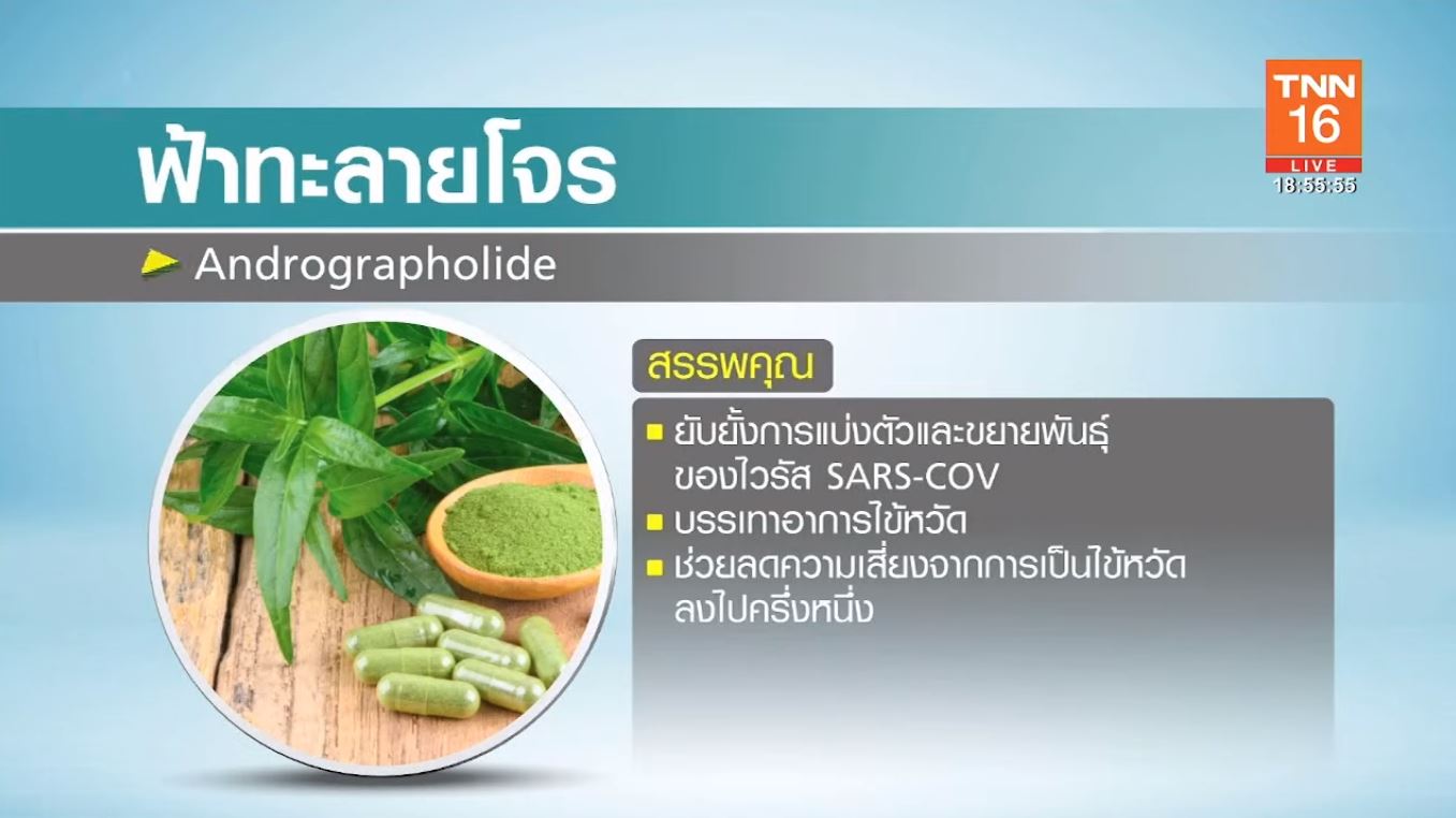 วิจัยพบ ยามาซิทินิบ รักษาโควิด19ได้ 